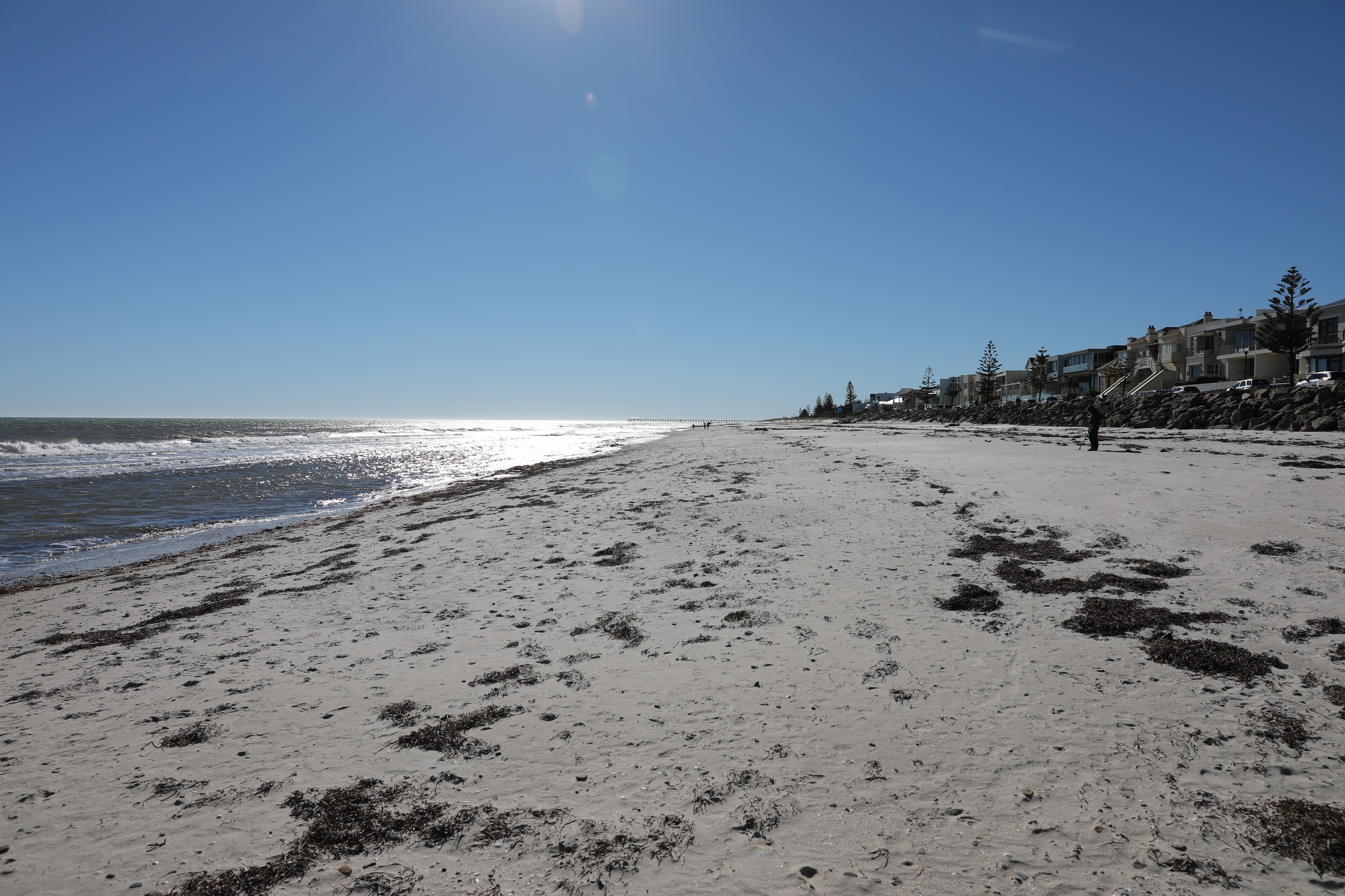 2019 07 20 14 01 25 Canon EOS 5D Mark IV 0003